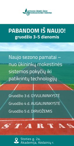 LŽŪKT pabandom iš naujo A dešinė 2025 11 25