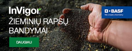 Basf m1 2025 06 19 / 2025 07 21 / 2025 08 01