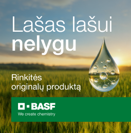 Basf A4 2026 04 22 / 2026 05 22