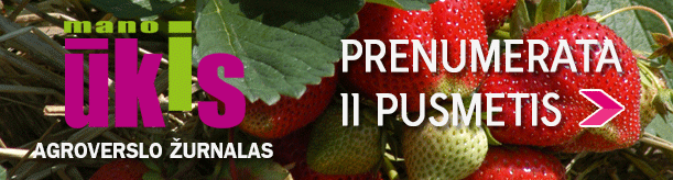 Setupad-desktop-po tekstu / prenumeruok 2025 II pusmetis / dovana 2025 12 15