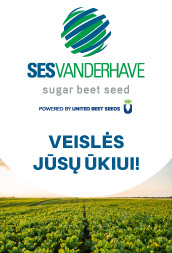 Sesvanderhave B1 2026 01 19