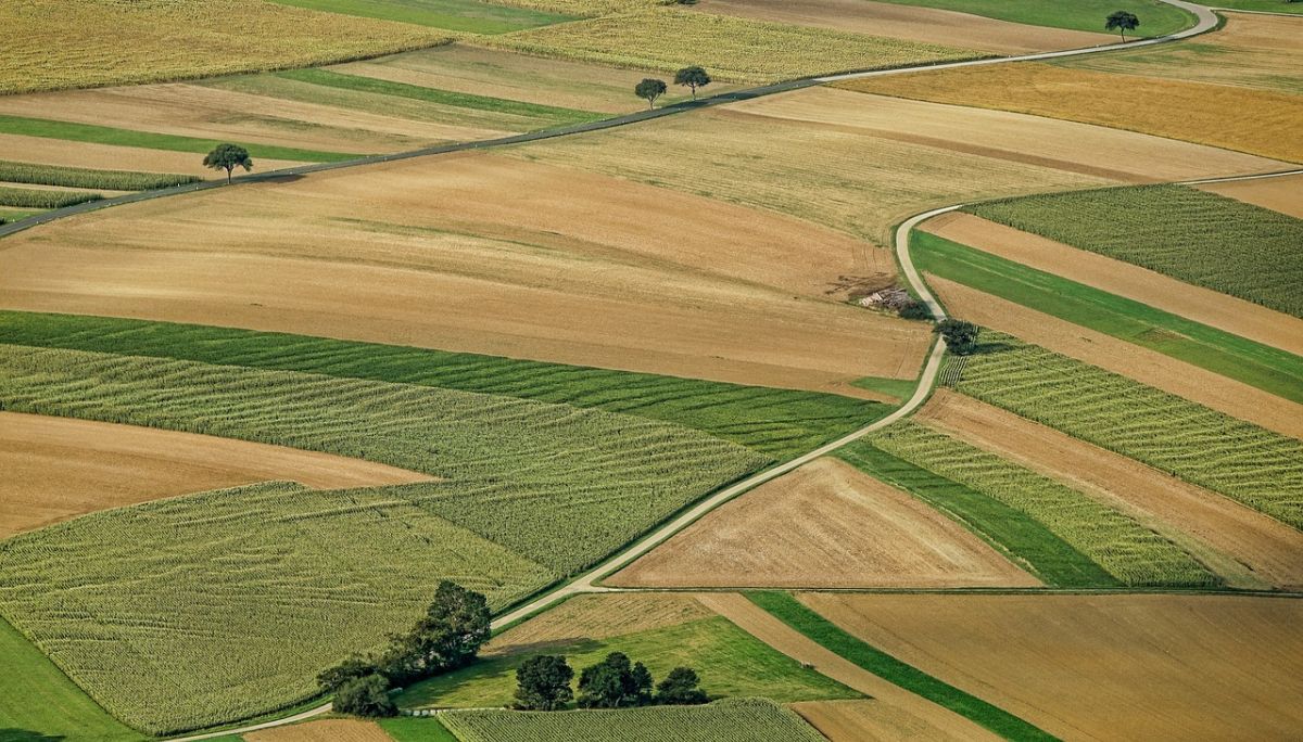 La mia fattoria – I prezzi degli affitti dei terreni variano fino a 14 volte nei paesi dell’UE